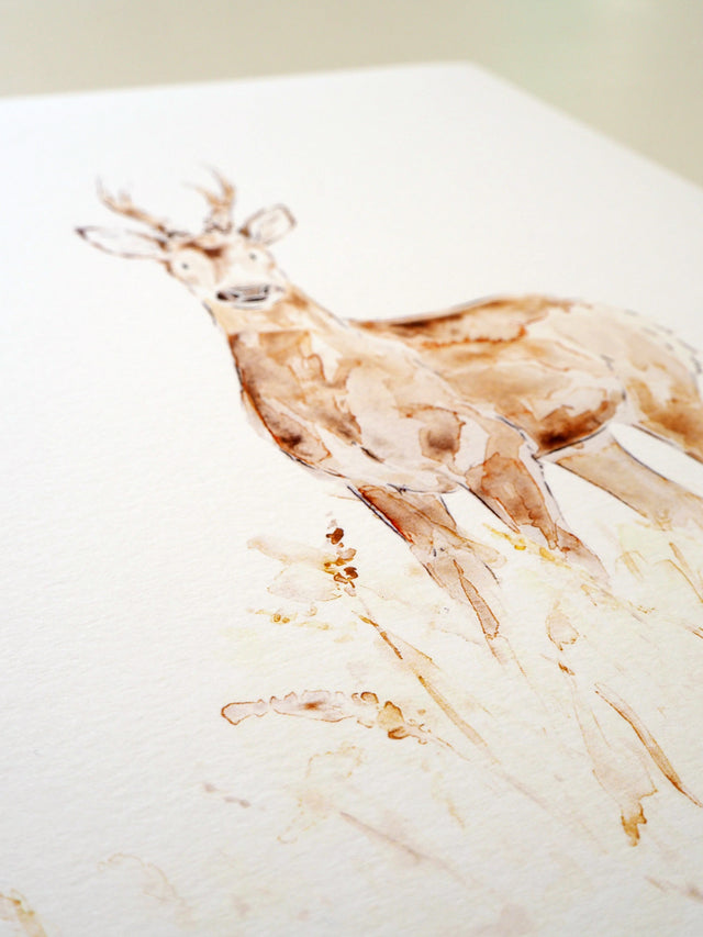 Art Print - Woodland Animal - Roe Deer