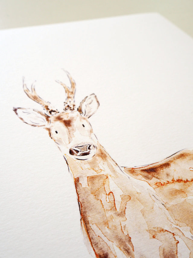 Art Print - Woodland Animal - Roe Deer