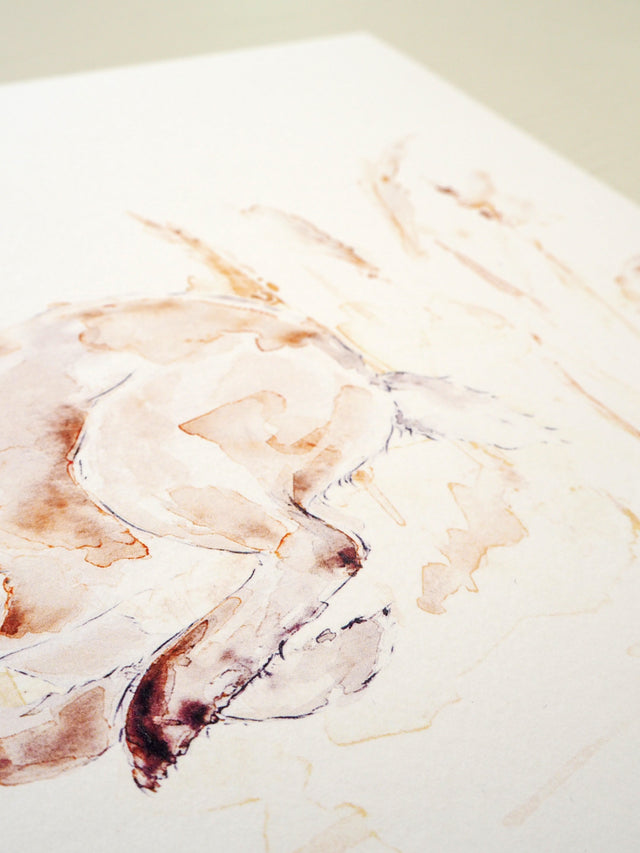 Art Print - Woodland Animal - Running Hare